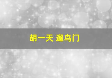 胡一天 遛鸟门